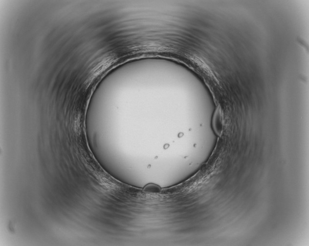 X0000096430873200802071723