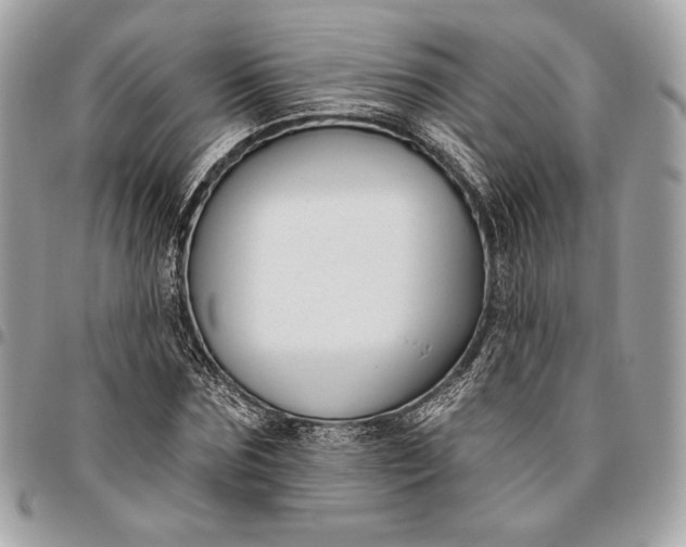 X0000096430875200802071723
