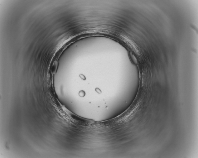 X0000096430876200802071723