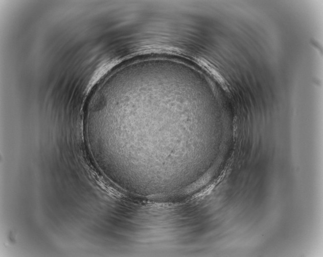X0000096430877200802071723
