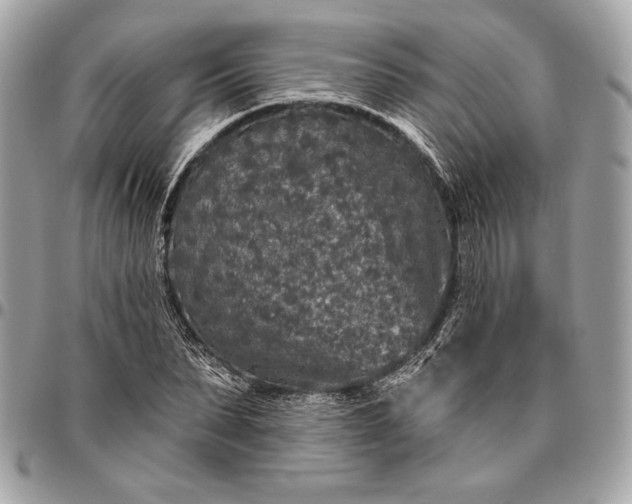 X0000096430879200802071723
