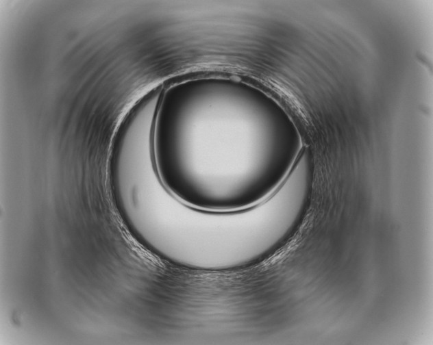 X0000096430880200802071723
