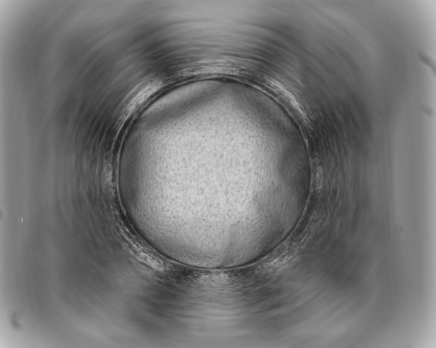 X0000096430882200802071723