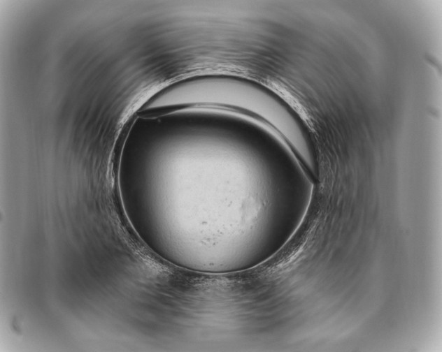 X0000096430885200802071723