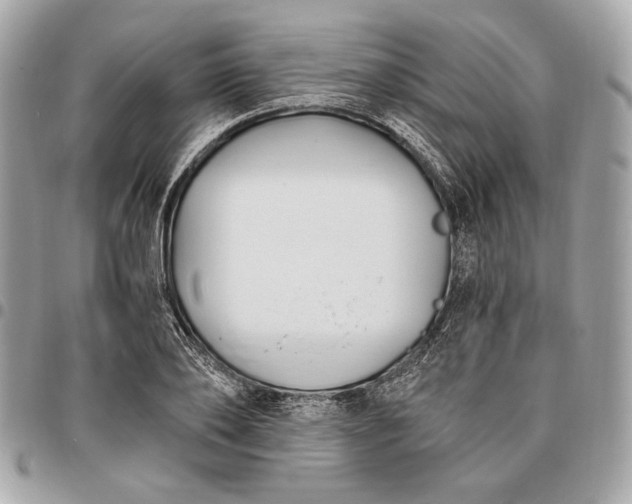 X0000096430886200802071723