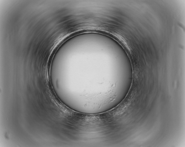 X0000096430887200802071723