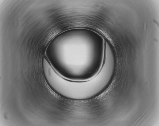 X0000096430889200802071723