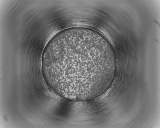 X0000096430891200802071723