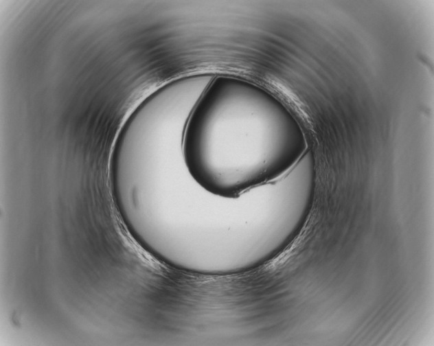 X0000096430892200802071723