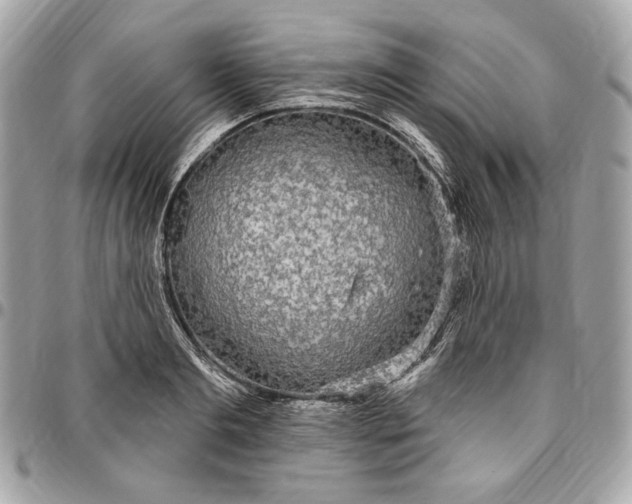 X0000096430893200802071723