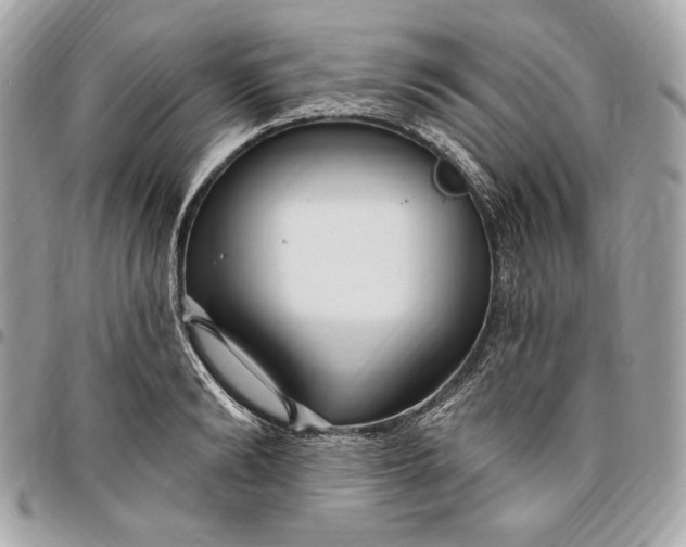 X0000096430894200802071723