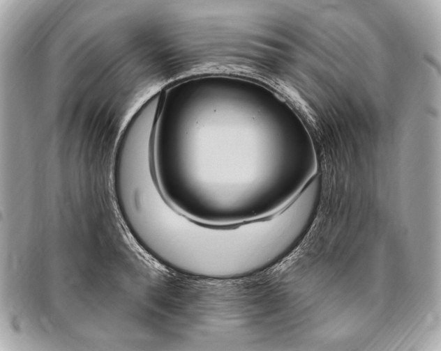 X0000096430896200802071723