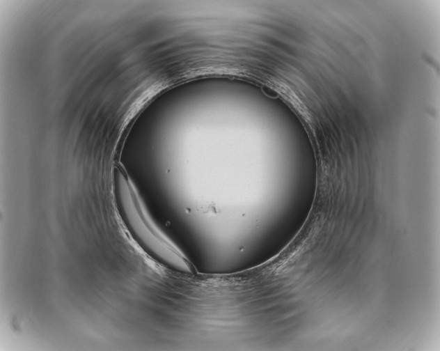 X0000096430898200802071723
