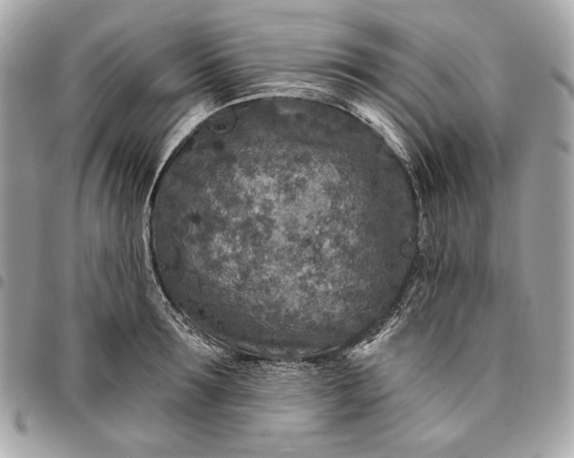 X0000096430899200802071723