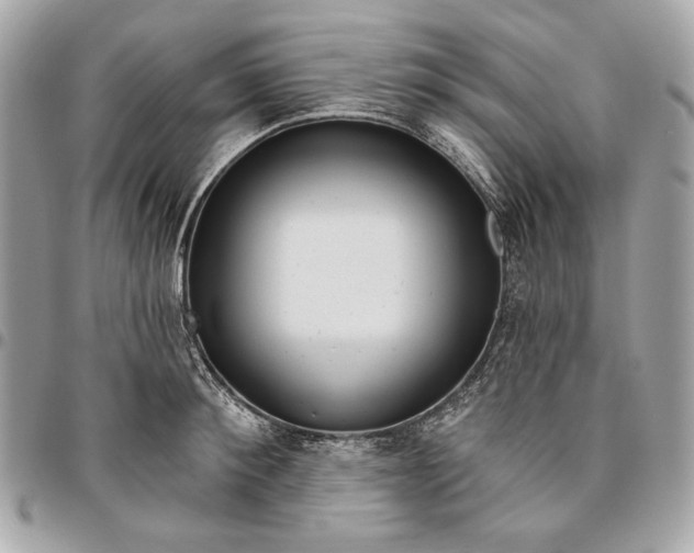 X0000096430900200802071723