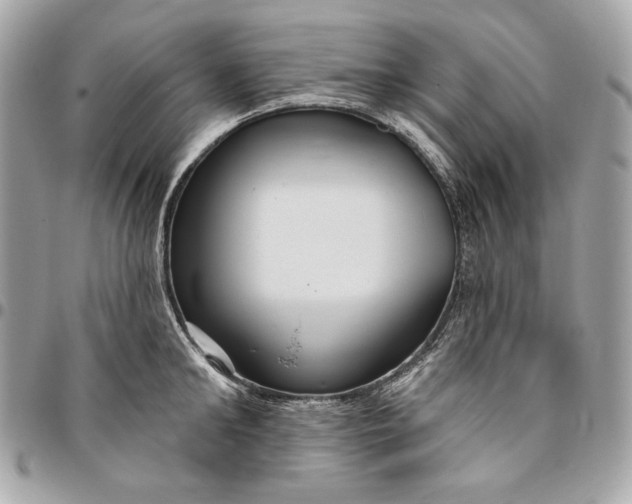 X0000096430902200802071723