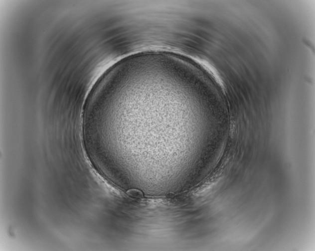 X0000096430903200802071723