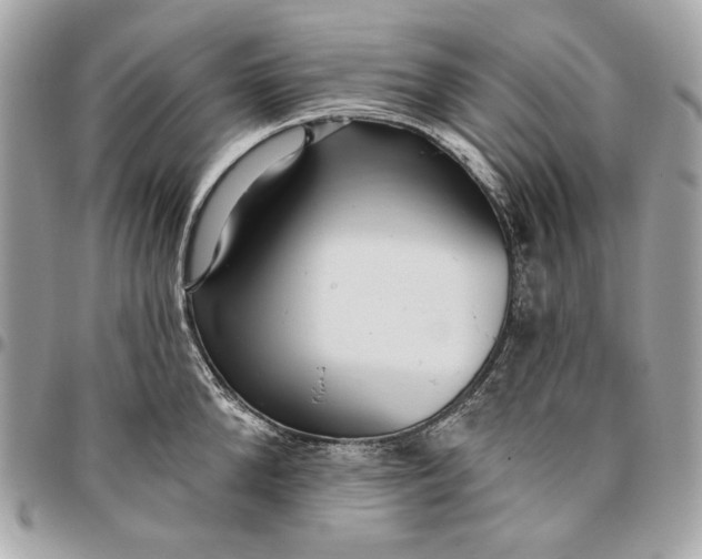 X0000096430904200802071722