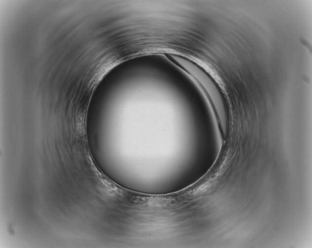 X0000096430905200802071722