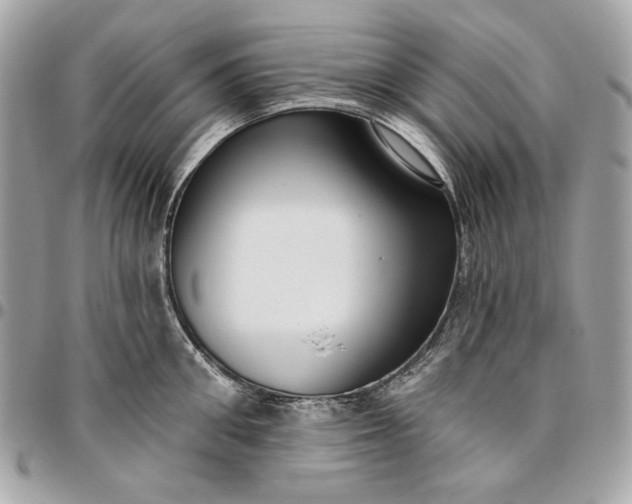 X0000096430906200802071722