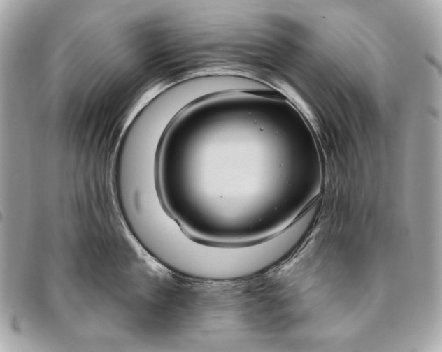 X0000096430909200802071722