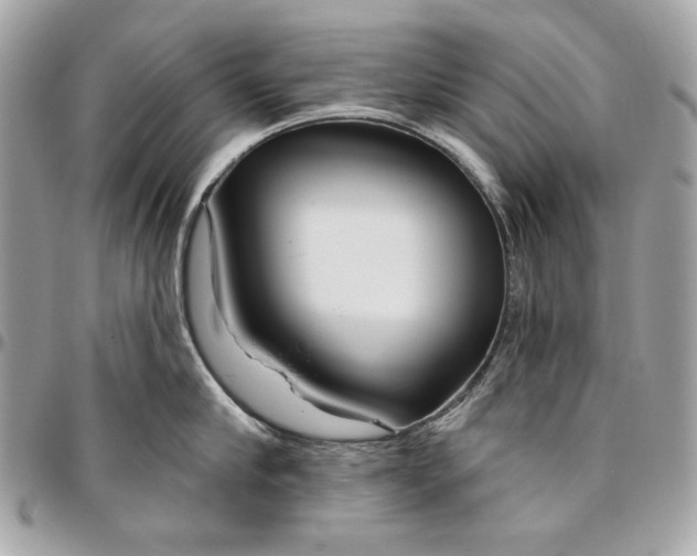 X0000096430910200802071722
