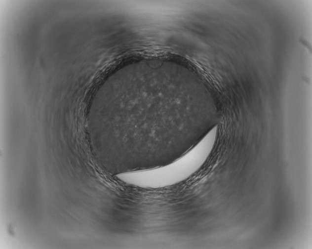 X0000096430913200802071722