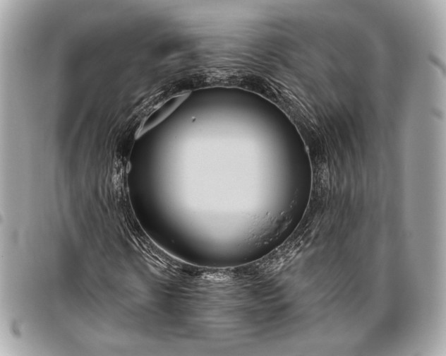 X0000096430914200802071722