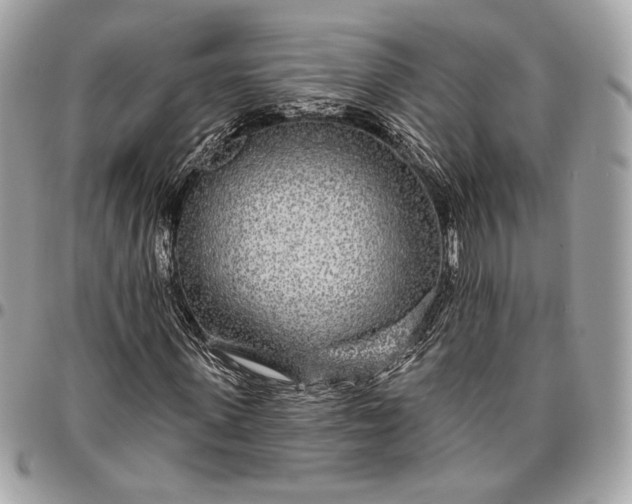 X0000096430915200802071722