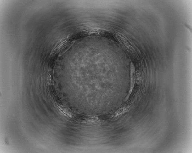 X0000096430916200802071722