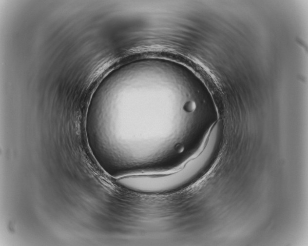 X0000096430921200802071722