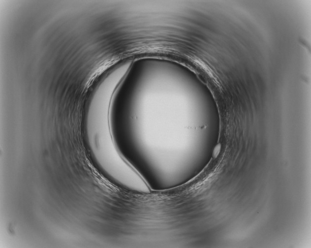 X0000096430922200802071722