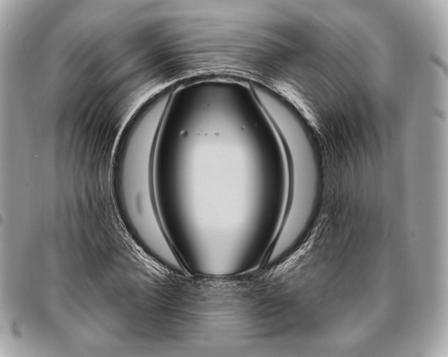 X0000096430924200802071722