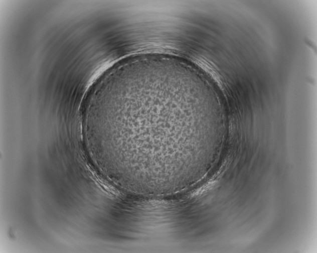 X0000096430925200802071722