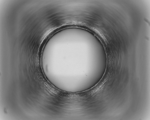 X0000096430927200802071722