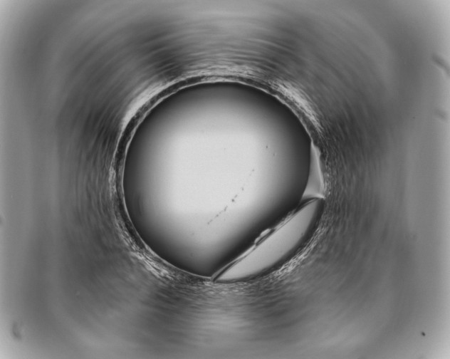 X0000096430928200802071722
