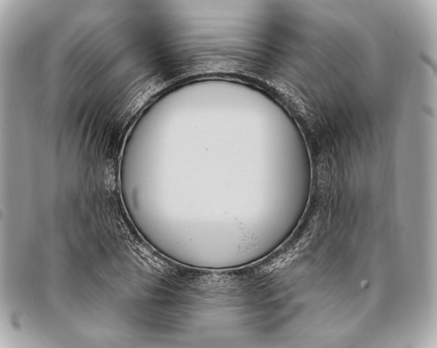 X0000096430929200802071722