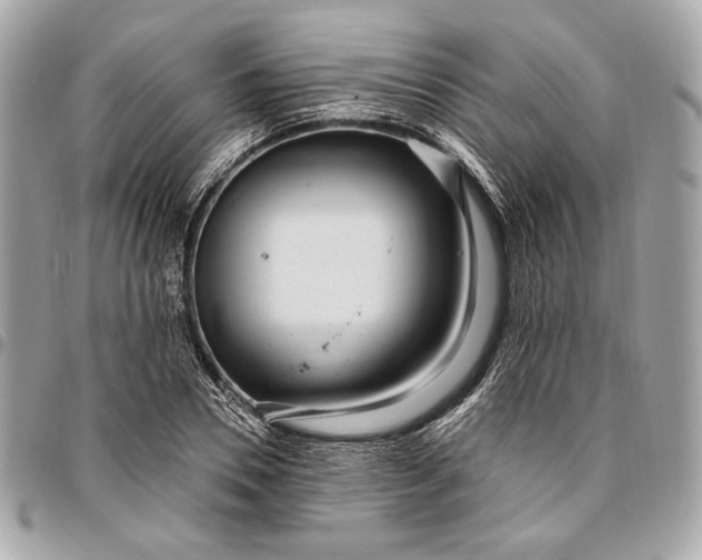 X0000096430930200802071722