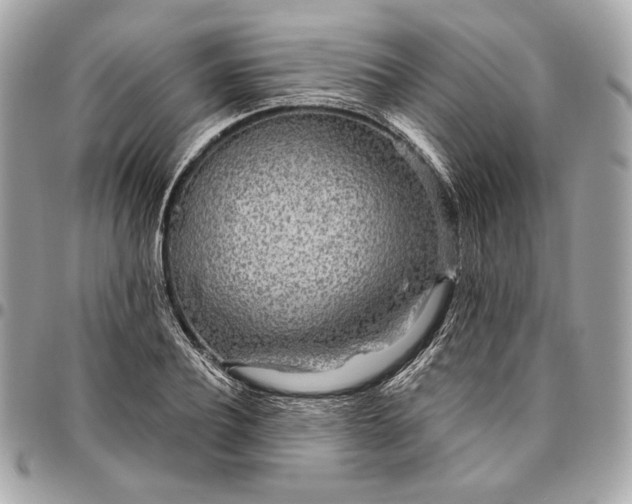 X0000096430932200802071722