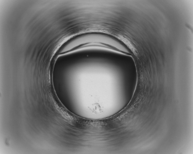 X0000096430934200802071722