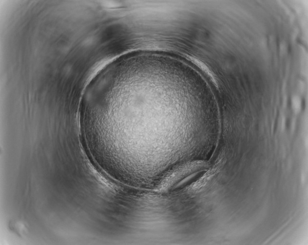 X0000096430935200802071722