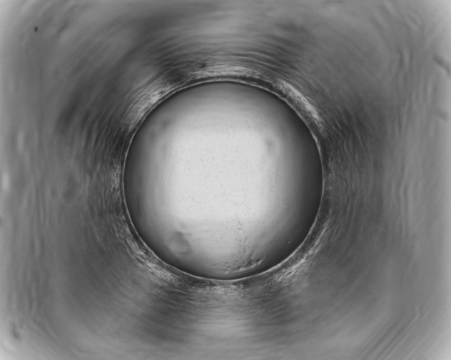 X0000096430937200802071722