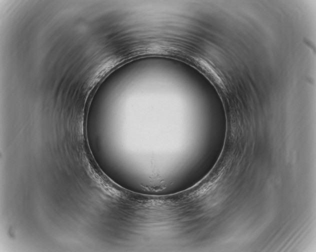 X0000096430938200802071722
