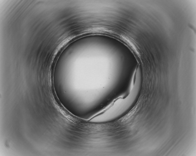 X0000096430939200802071722