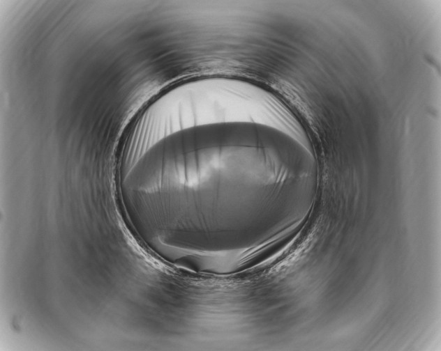 X0000096430941200802071722