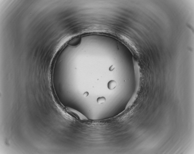 X0000096430942200802071722