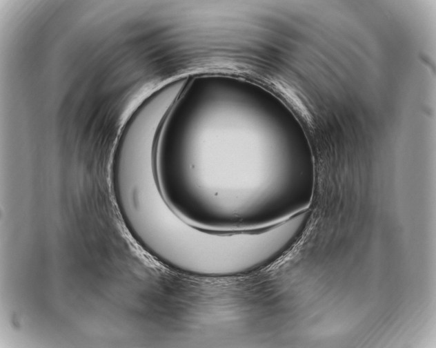 X0000096430944200802071722