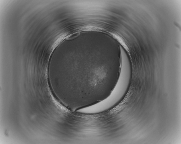 X0000096430946200802071722