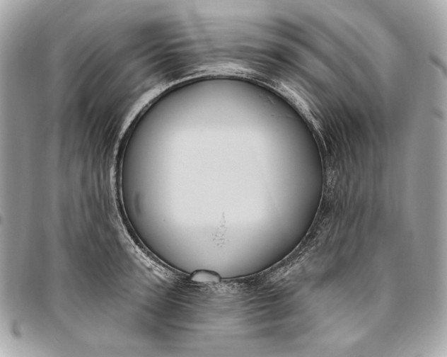 X0000096430947200802071722
