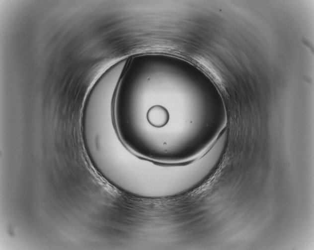 X0000096430948200802071722